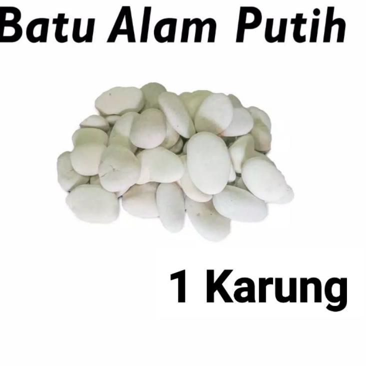 ✩ BATU KORAL PUTIH TAMAN KARUNGAN ✹