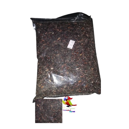 KETAN IRENG KETAN HITAM KETAN PAKAN BURUNG KETAN  1 KG