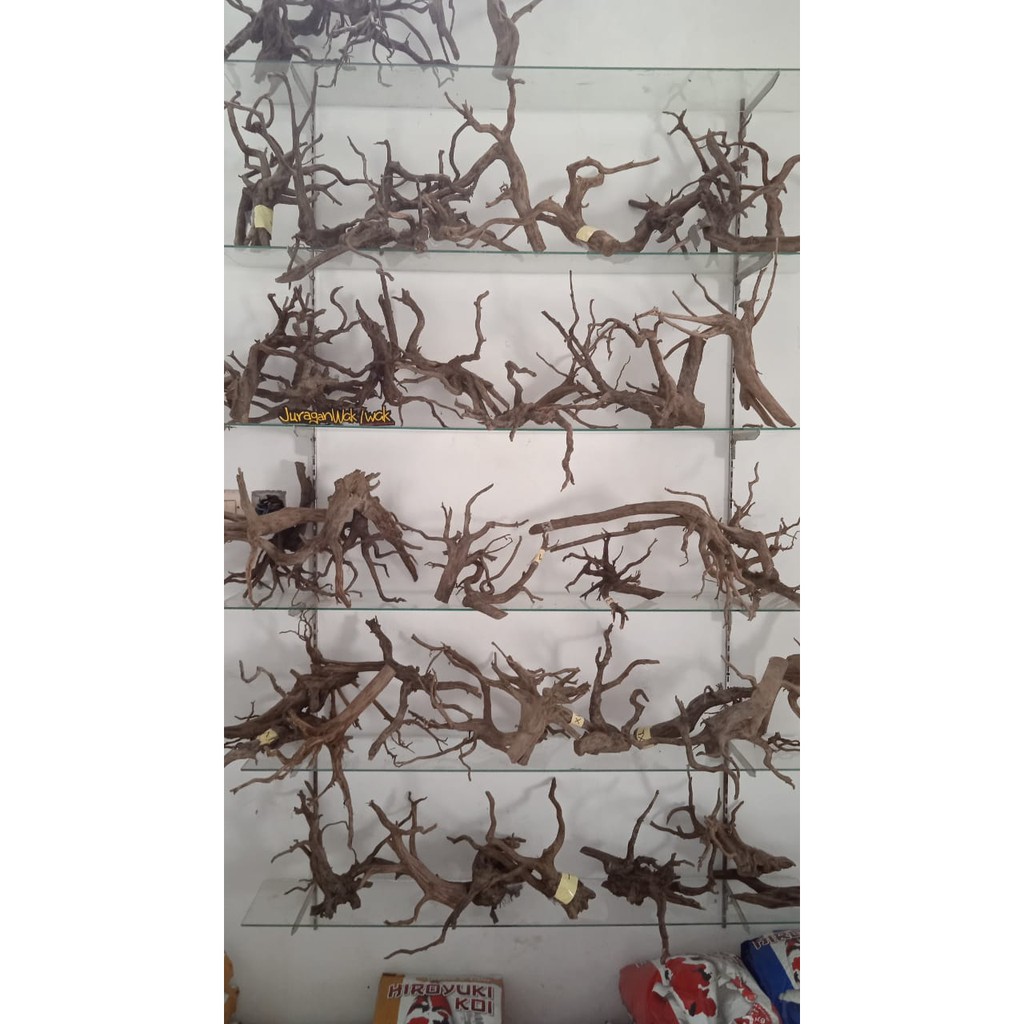 SPECIAL Kayu aquascape akar rasamala kupas