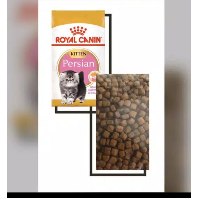 RC kitten Persian 400 gram