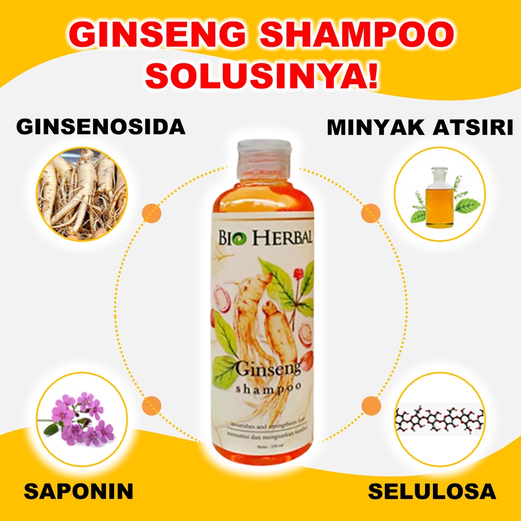 Shampo Rontok Parah Dan Ketombe Penumbuh Rambut Ginseng Paling Ampuh BPOM 250 ml B1P