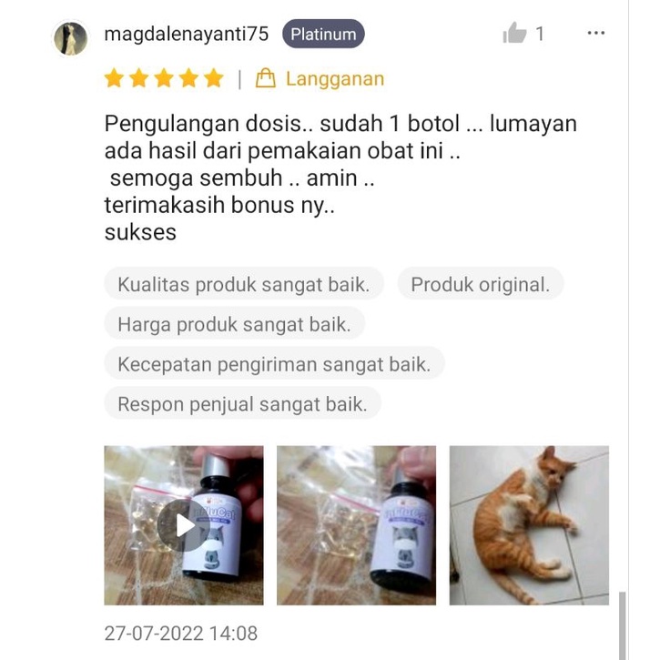 Obat Flu Kucing Batuk Demam Pilek Flucat Doxy Cat Coldy Cat Flu Cat Flu Kucing Ampuh