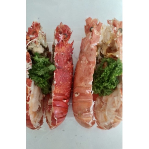 

Lobster steam lobster matang 1/2 kg isi 2