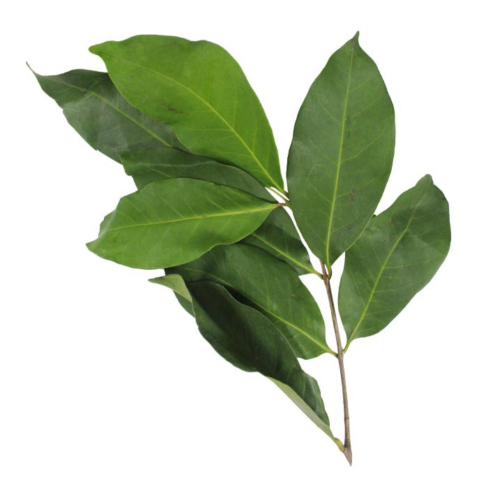 

Daun Salam Pewangi Masakan 100 gram - Almahira