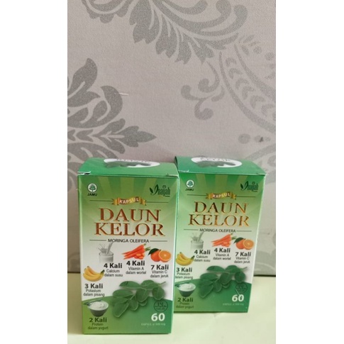 Daun kelor // Kapsul daun kelor
