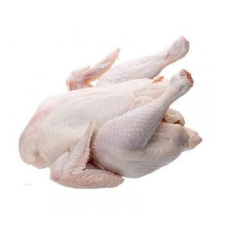 

Daging Ayam potong 1kg