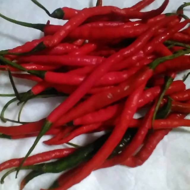 

Cabe lokal