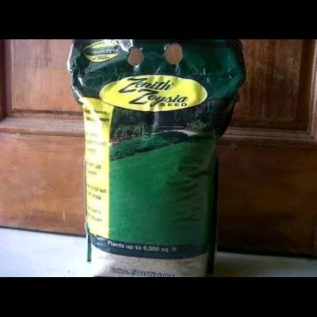 Biji rumput zoysia - biji rumput jepang - benih rumput jepang - bibit rumput jepang