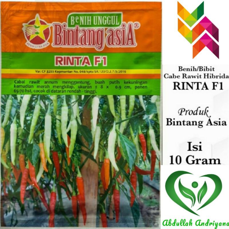 Benih Bibit Cabe Rawit RINTA F1 isi 10 Gram Benih Cabe Rawit Unggulan F1 RINTA BINTANG ASIA