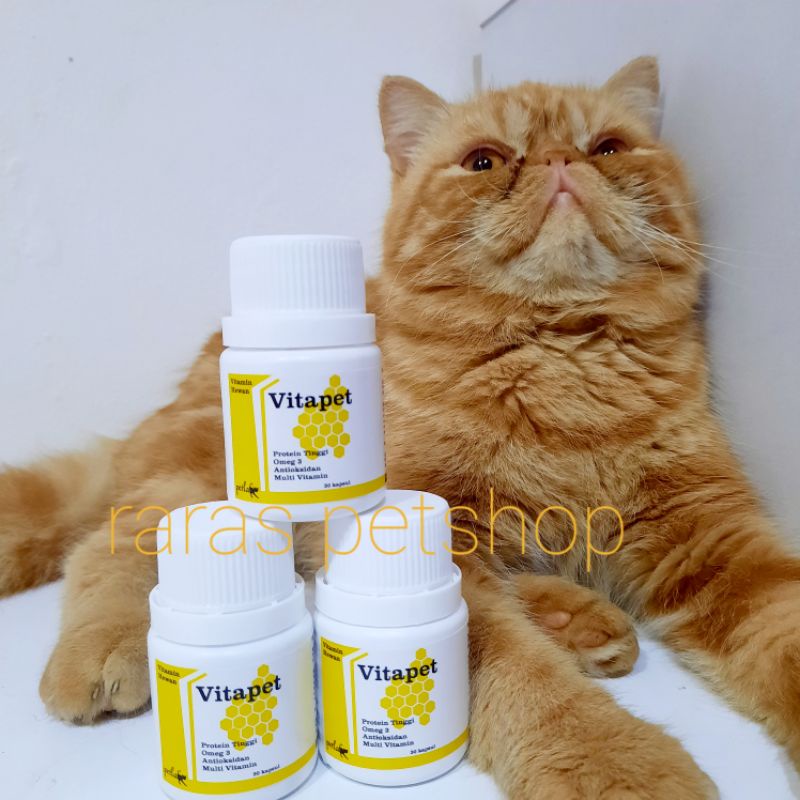 VITAPET vitamin bulu kucing