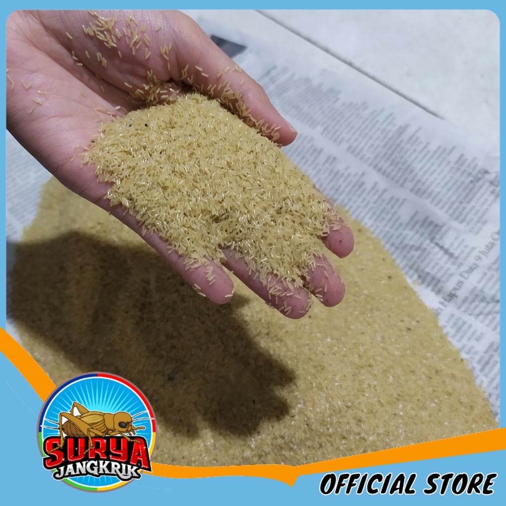 Telur Jangkrik Murah Telur Jangkrik Jenis Alam Semarang 50gram