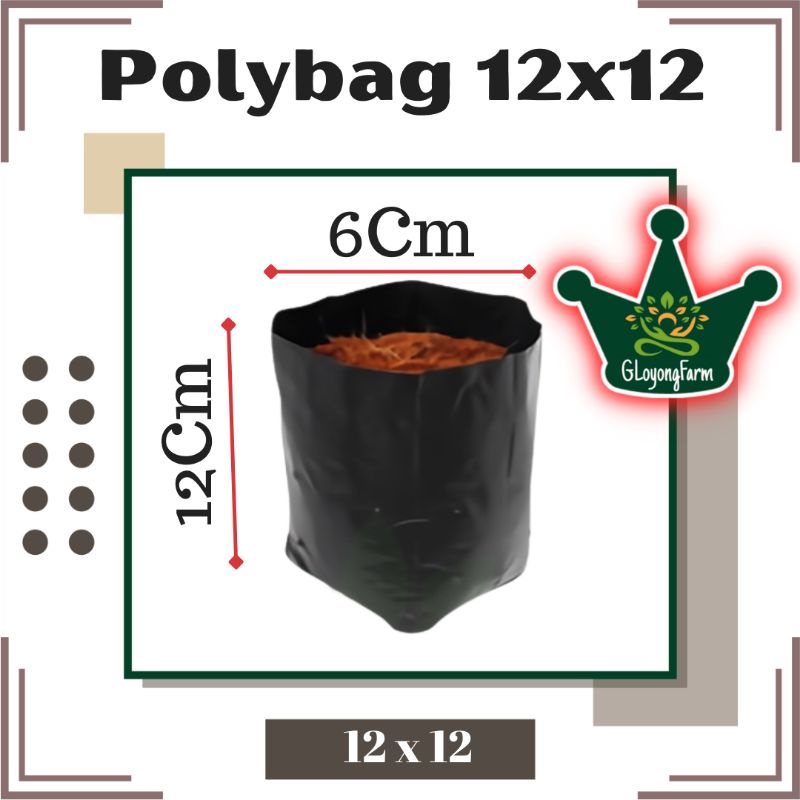Polybag 12x12 Polibag 12 x 12 Polibek Tebal Tidak Berbau