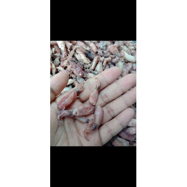 

baby cumi