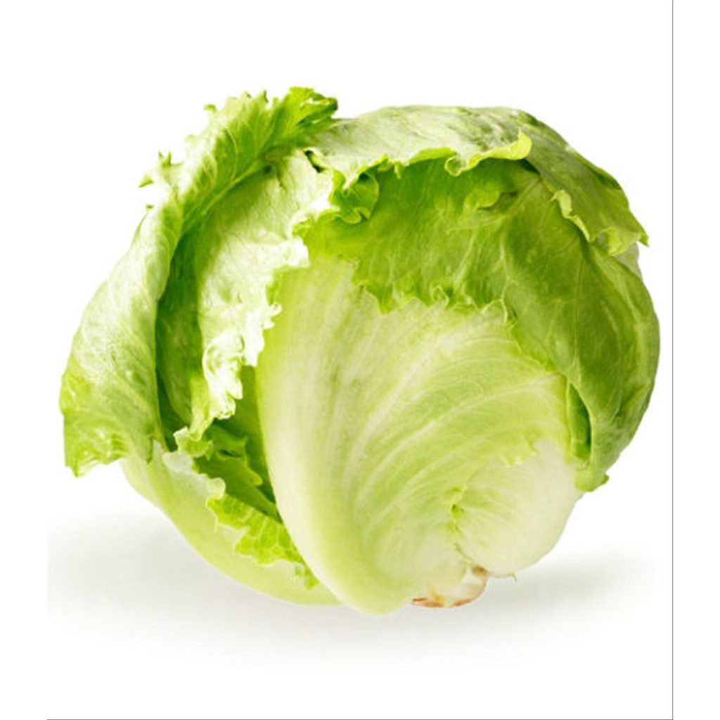 

Lettuce Head/Selada Iceberg