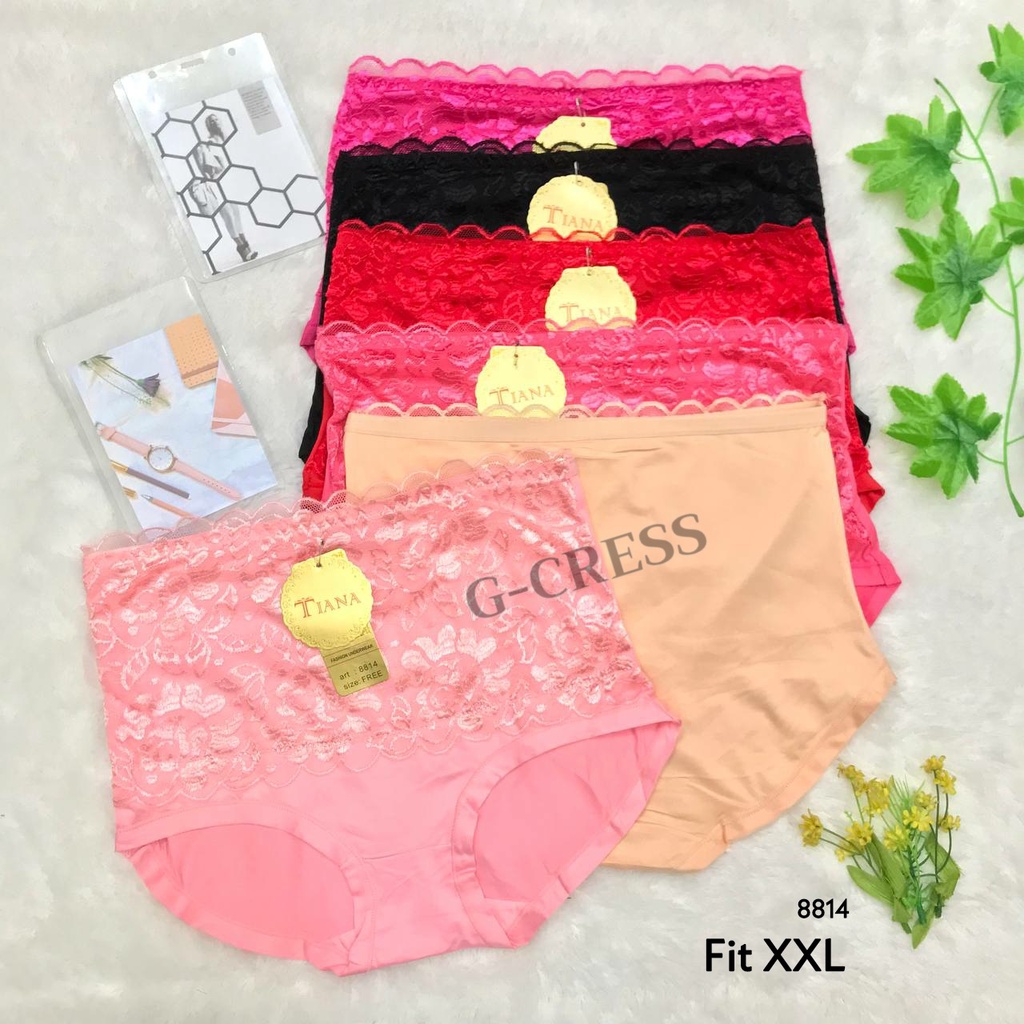 Celana Dalam Wanita Dewasa JUMBO Fit XXL Sepinggang Katun & Tille Motif Bunga Transparan Renda CD Ce