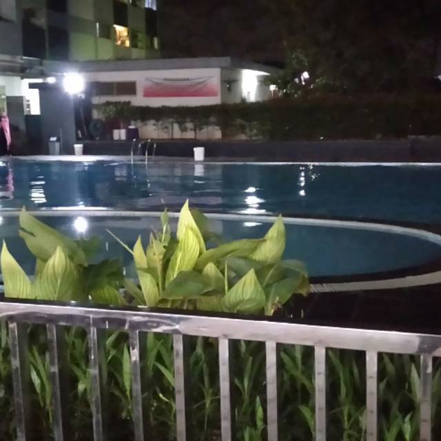 dwiasihwulandari2472