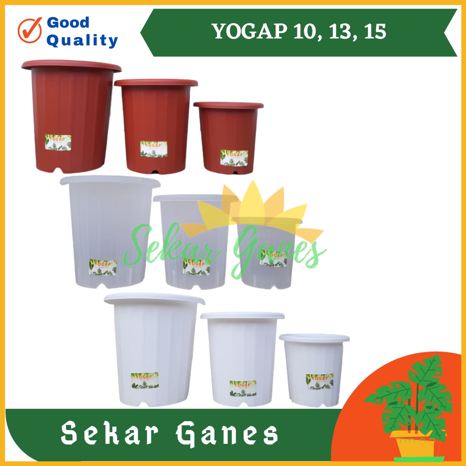 Pot Yogap Ypt 10 13 15 Putih Coklat Merah Bata Bening Transparan Pot Yogap Yoga Murah Yogap 17 18