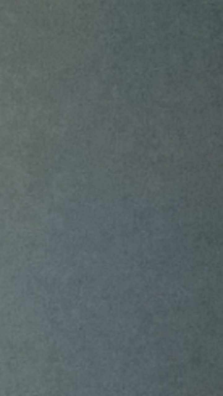 Pembersih Sisik Ikan Stainless Anti Muncrat