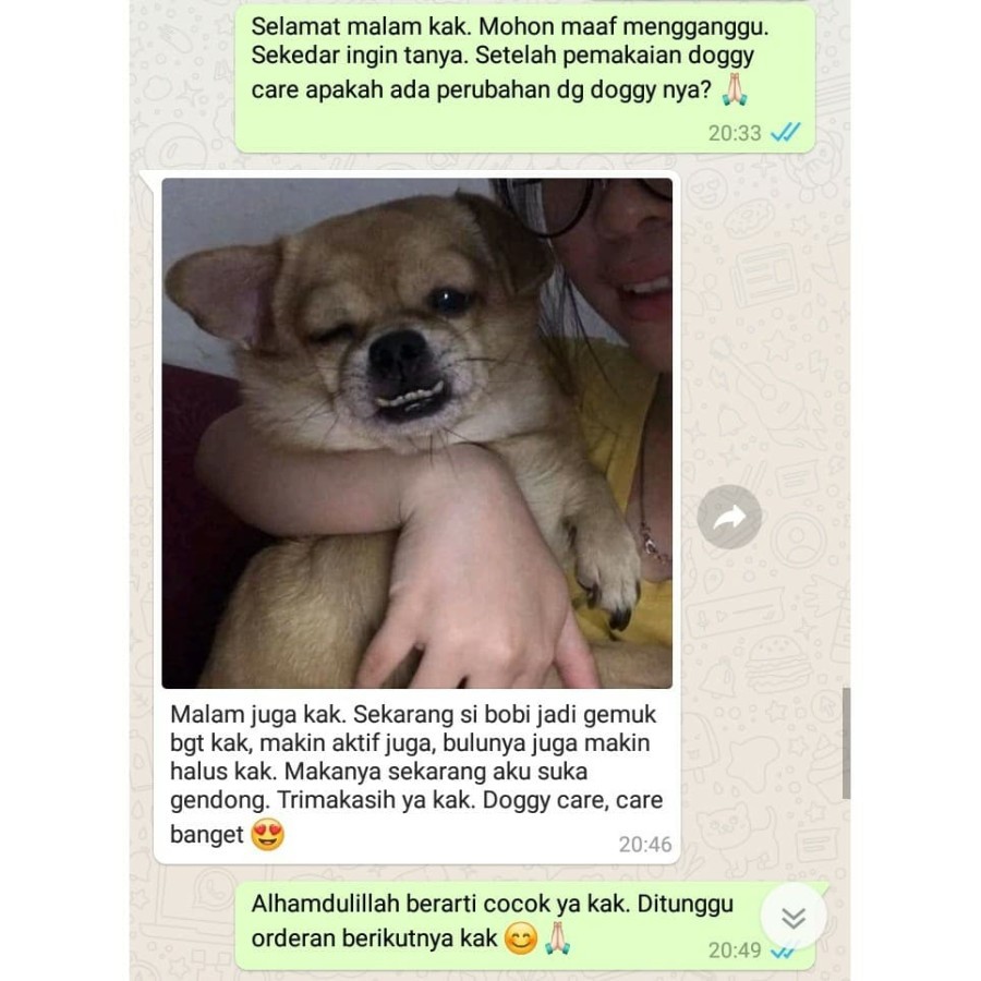 VITAMIN ANJING  BULU ANJING  NAFSU MAKAN PENGGEMUK ANJING PENUMBUH BULU ANJING OBAT RONTOK BULU ANJING
