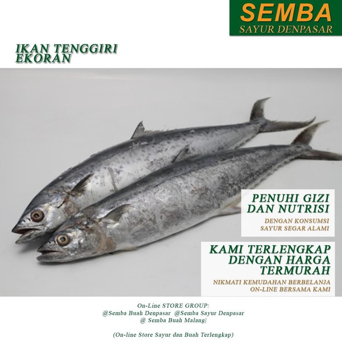 

IKAN TENGGIRI 1KG seafood DENPASAR BALI sembako bumbu dapur lauk food bahan makanan murah fresh