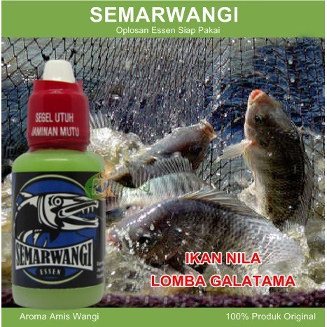 Semarwangi Essen Ikan Nila Galatama