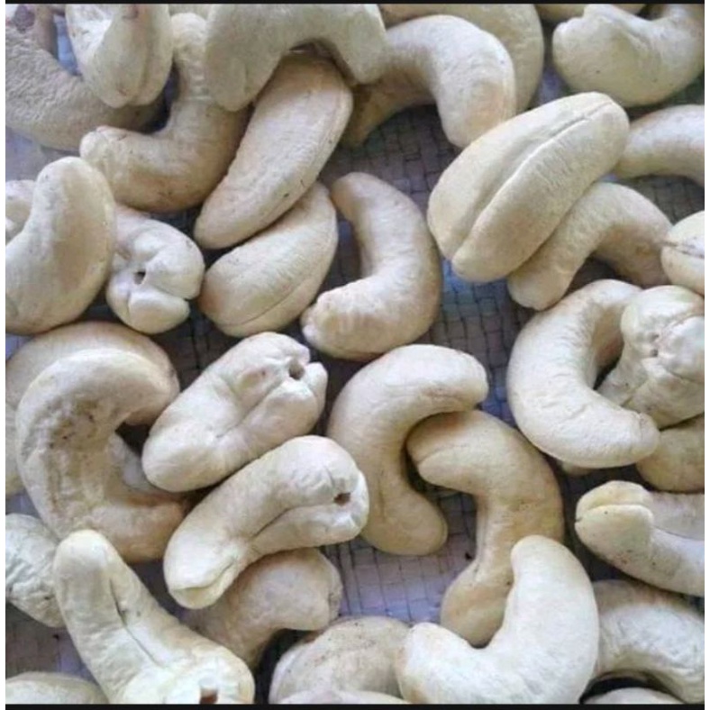 

Kacang Mede mentah/gorengan/panggang Asli Wonogiri