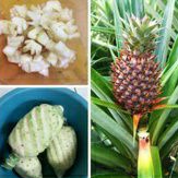 

Buah segar nanas muda fresh per 2 buah kupas