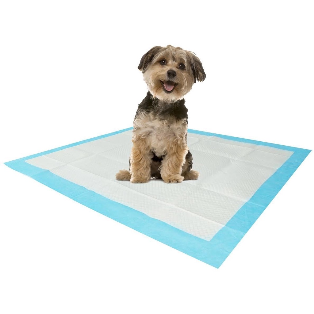 UNDERPAD SIZE M - Alas Pipis Pup Underpad Kucing Anjing Perlak Tatakan Pet Toilet Portable