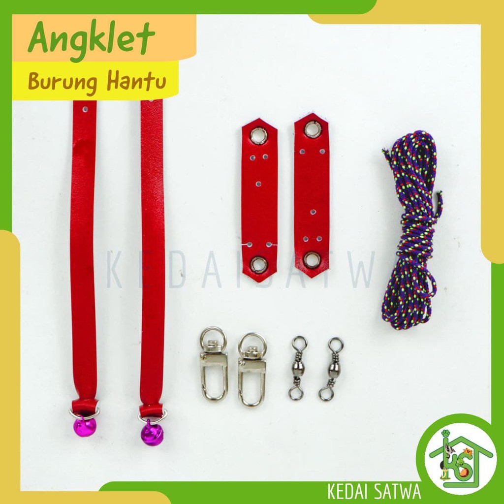 Anklet / AnKjess Burung Hantu Celepuk, Tali Burung Hantu Celepuk, Javan, Owlet dll. -Kedai Satwa