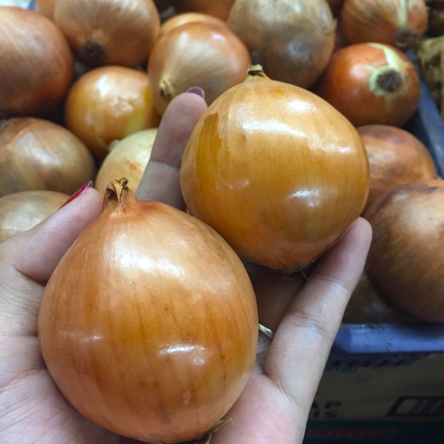 

Bawang bombay 250 gram