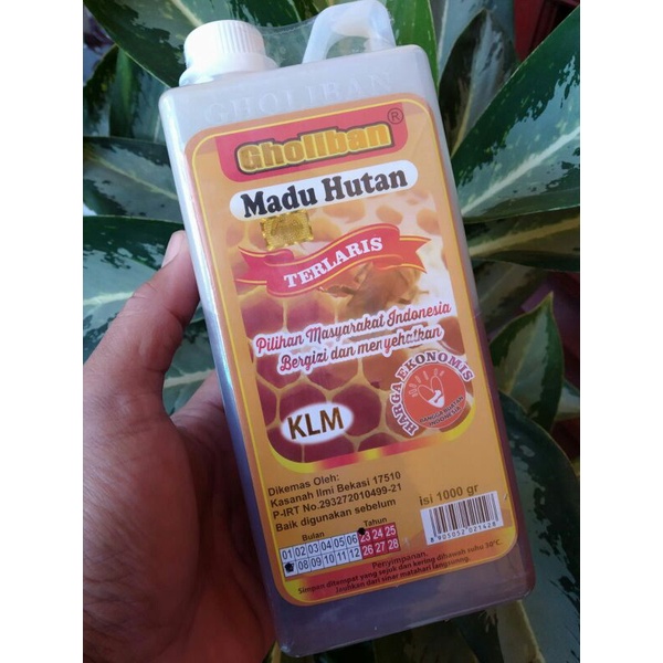 

Gholiban madu hutan 1 kg