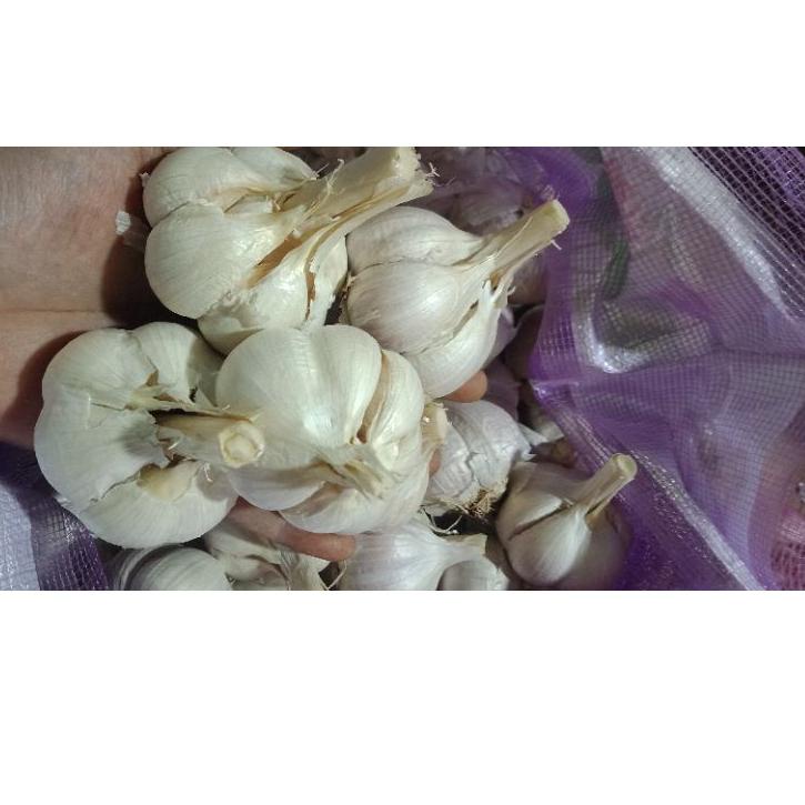 

Miliki Bawang putih Kating 1kg 시
