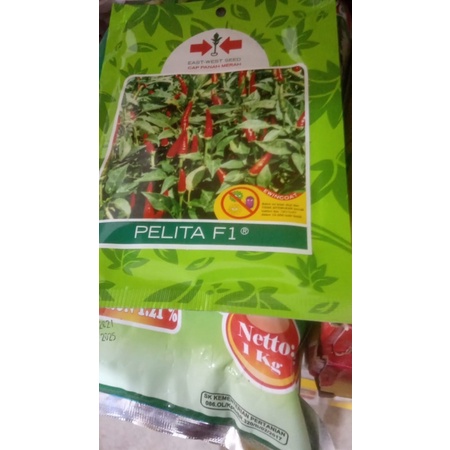 cabe pelita f1