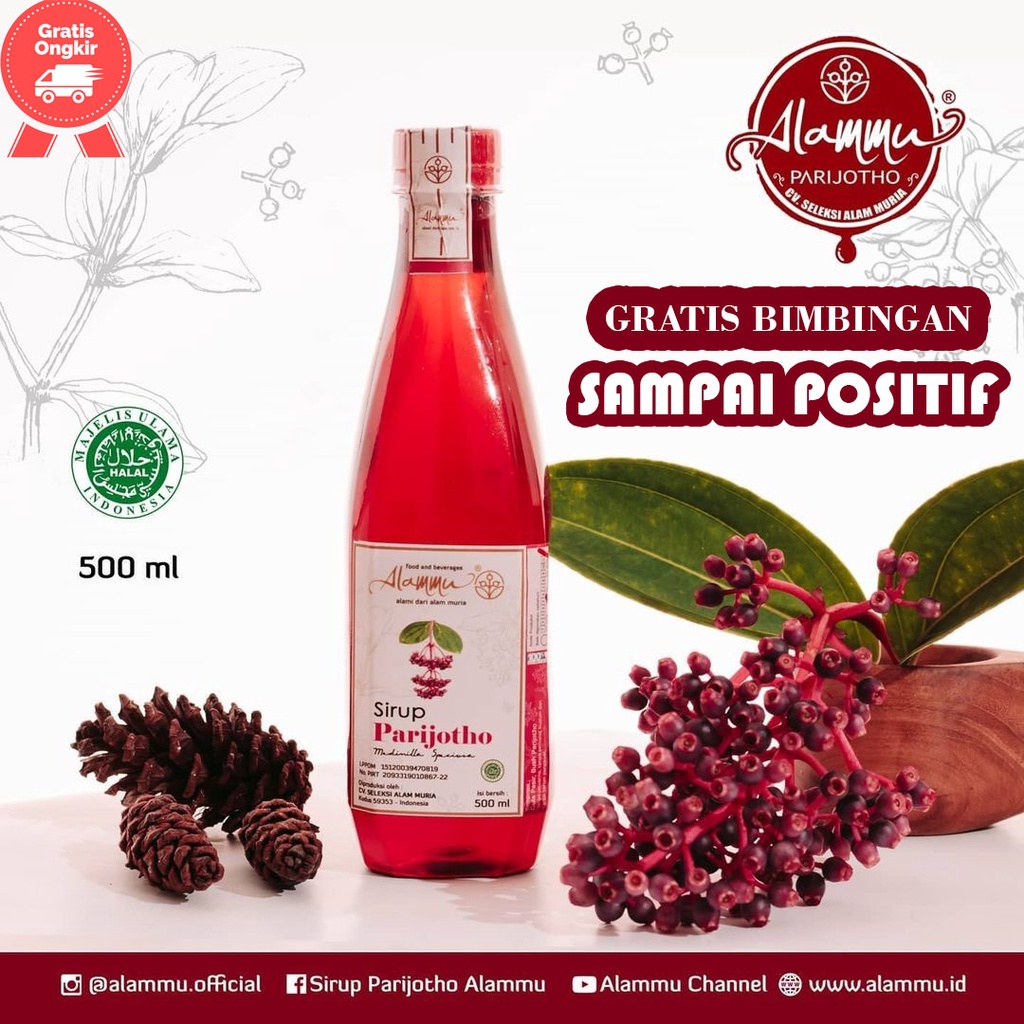 

SIRUP PARIJOTO ALAMMU + Buah Parijoto Untuk Promil Asli Muria ORIGINAL