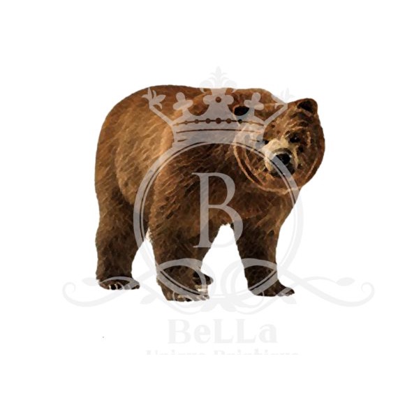 Montana Awesome America Series