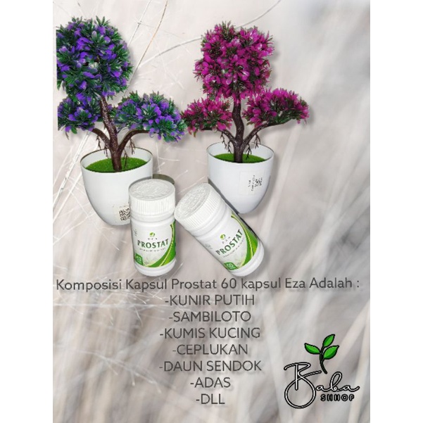 Kapsul herbal prostat 60 kapsul