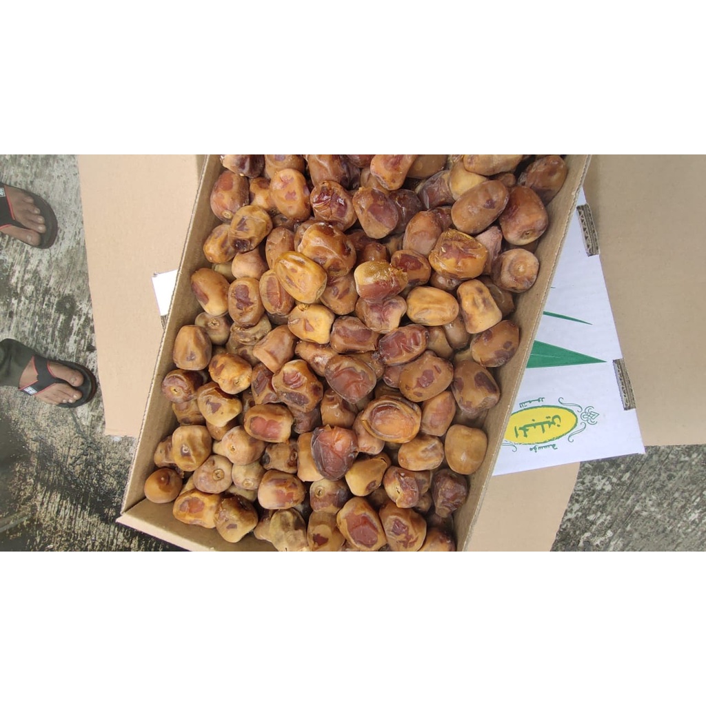 

Kurma Sukari HC/NR 3 Kilogram