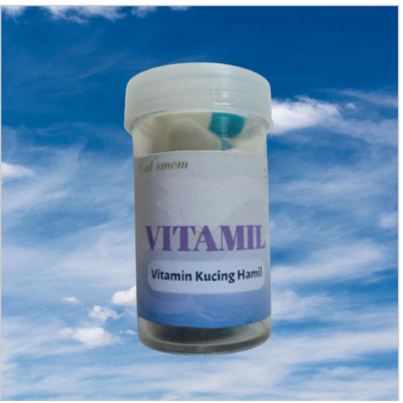 Vitamin kucing hamil anti stress