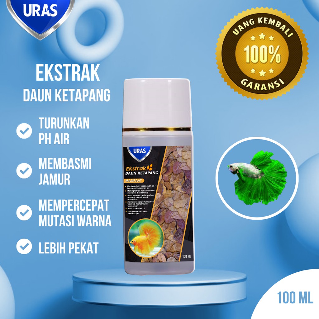 Ekstrak Daun Ketapang Perawatan Ikan Cupang Halfmoon Blue Rim Avatar Koi Giant Multicolor Hias Murah