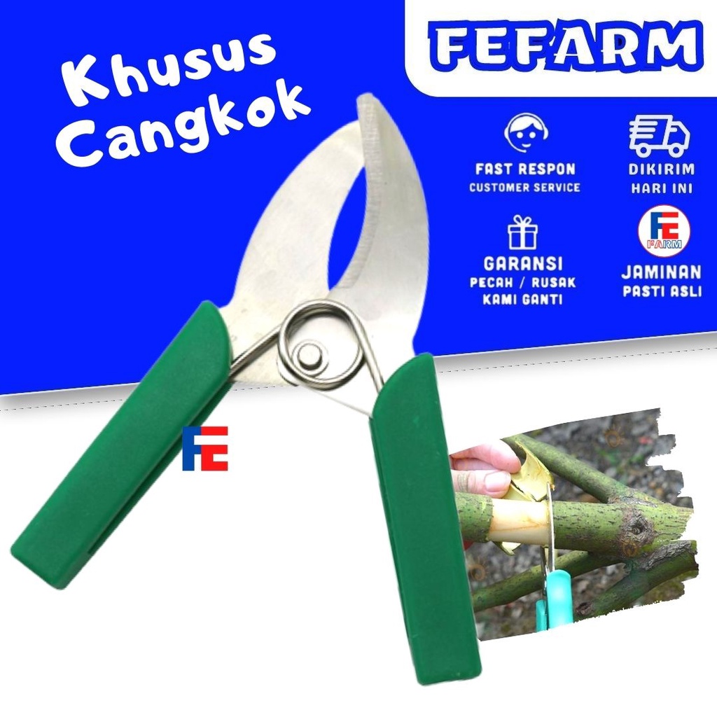 Gunting Kusus Cangkok Tanaman FEFARM