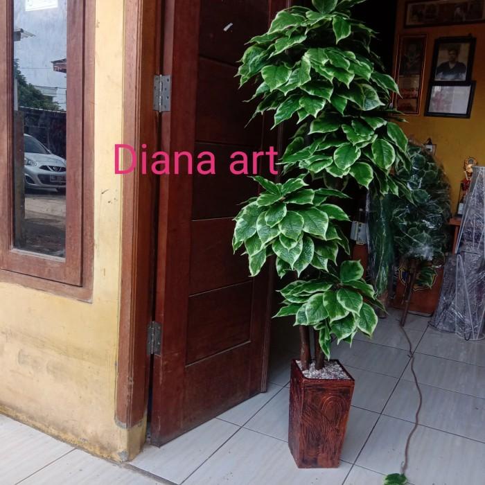 Pohon Bonsai#Pohon Sinfu#Pohon Plastik/Tanaman Palsu
