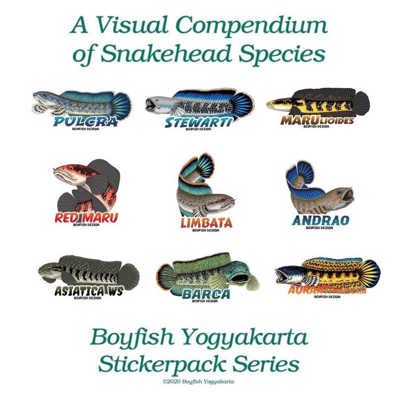 

STIKER PACK PREMIUM TAHAN AIR ISI 10 [5x10cm] BESAR-BESAR BY BOYFISH DESIGN