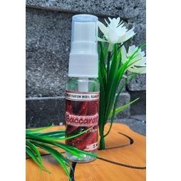 PARFUM MOBIL RUANGAN SPRAY 20 ML