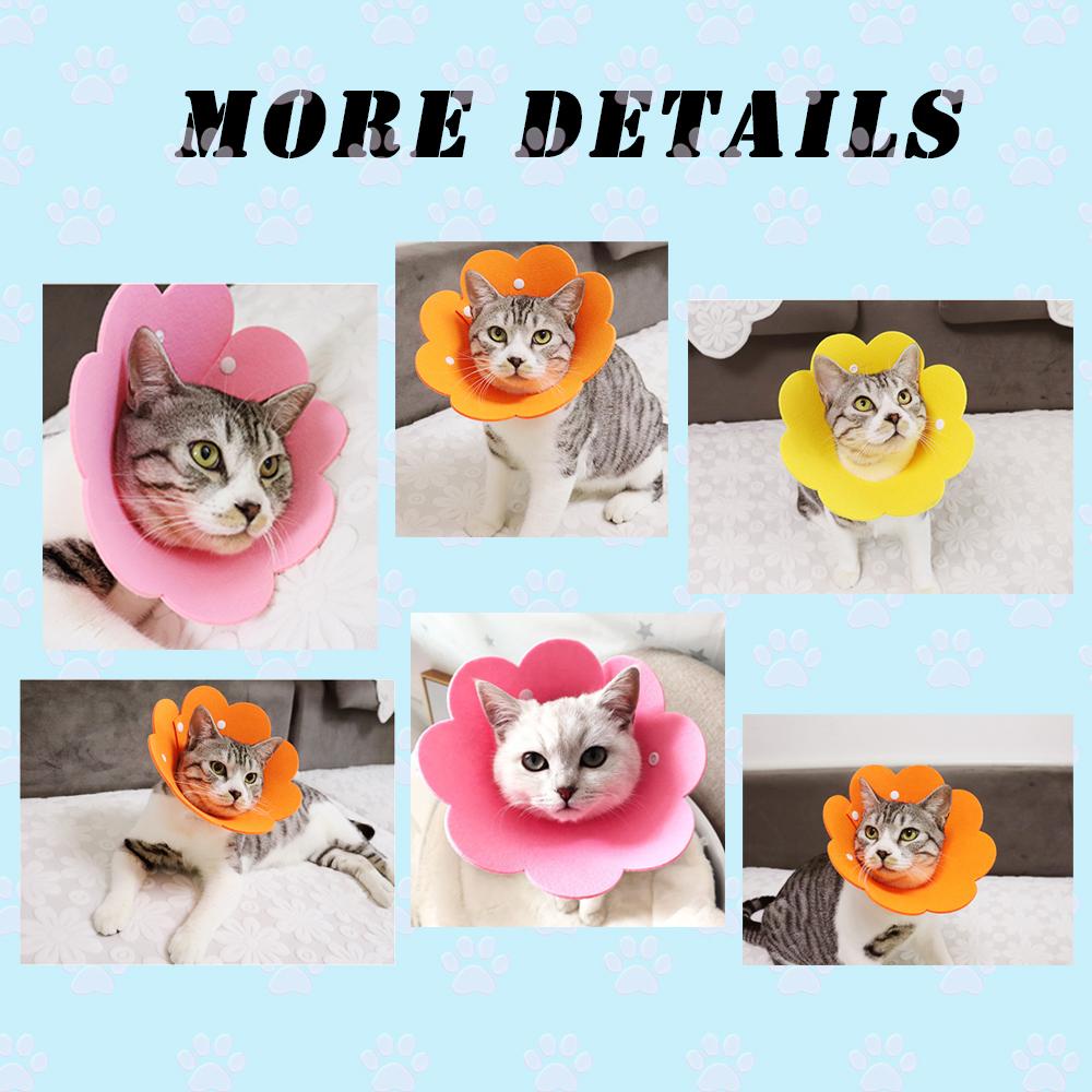 Solighter Cat Recovery Collar Home Adjustable Elizabethan Collars Cat Cones Setelah Operasi