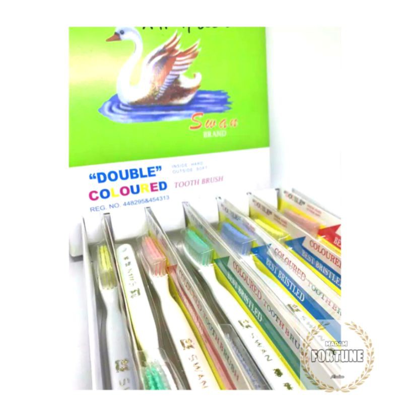 12 pcs Swan sikat gigi