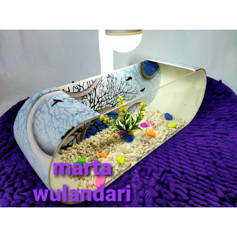 aquarium unik aquarium cantik. ikan cupang gupi neon