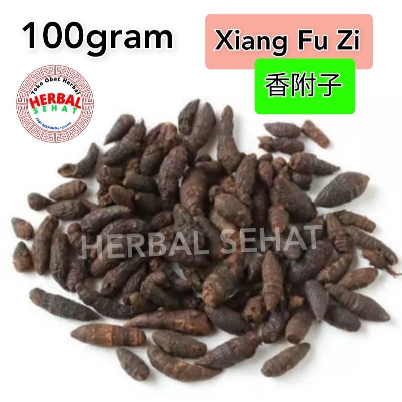 

100gram Xiang Fu Siang Fu Xiangfu Rhizoma Cyperi Rotundi