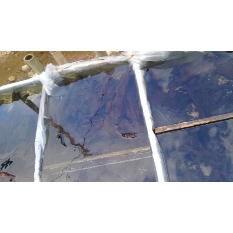 kayu rentek aquascape