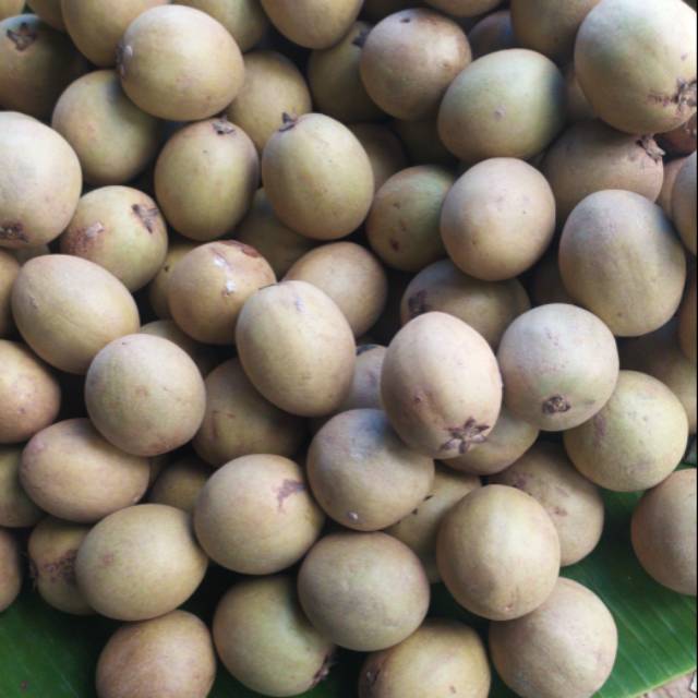 

Sawo apel manis harga /kg