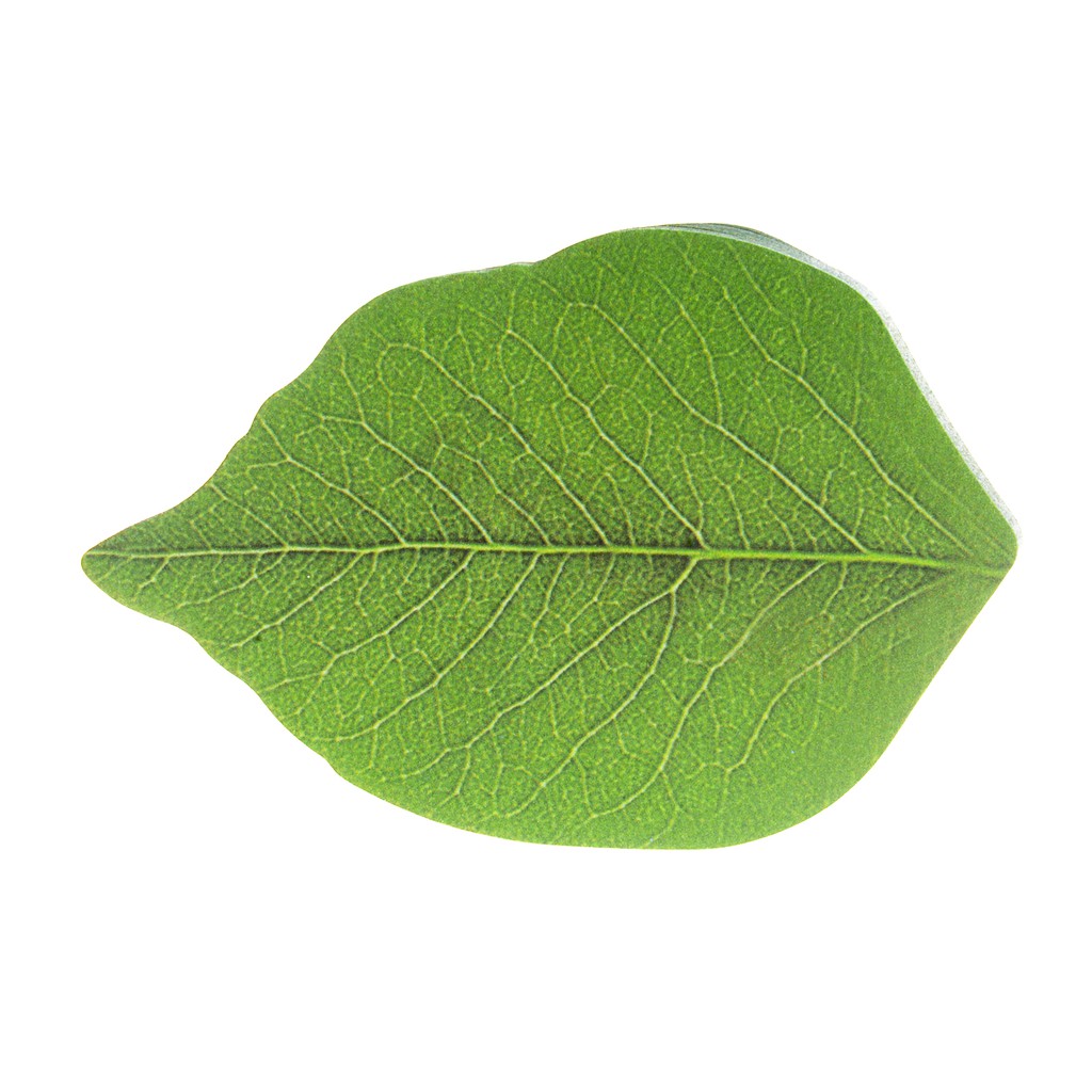 

STICKY NOTE DAUN 50S - LEAF POST IT - KERTAS MEMO DAUN - LEAVES STICKER NOTES - KERTAS PESAN